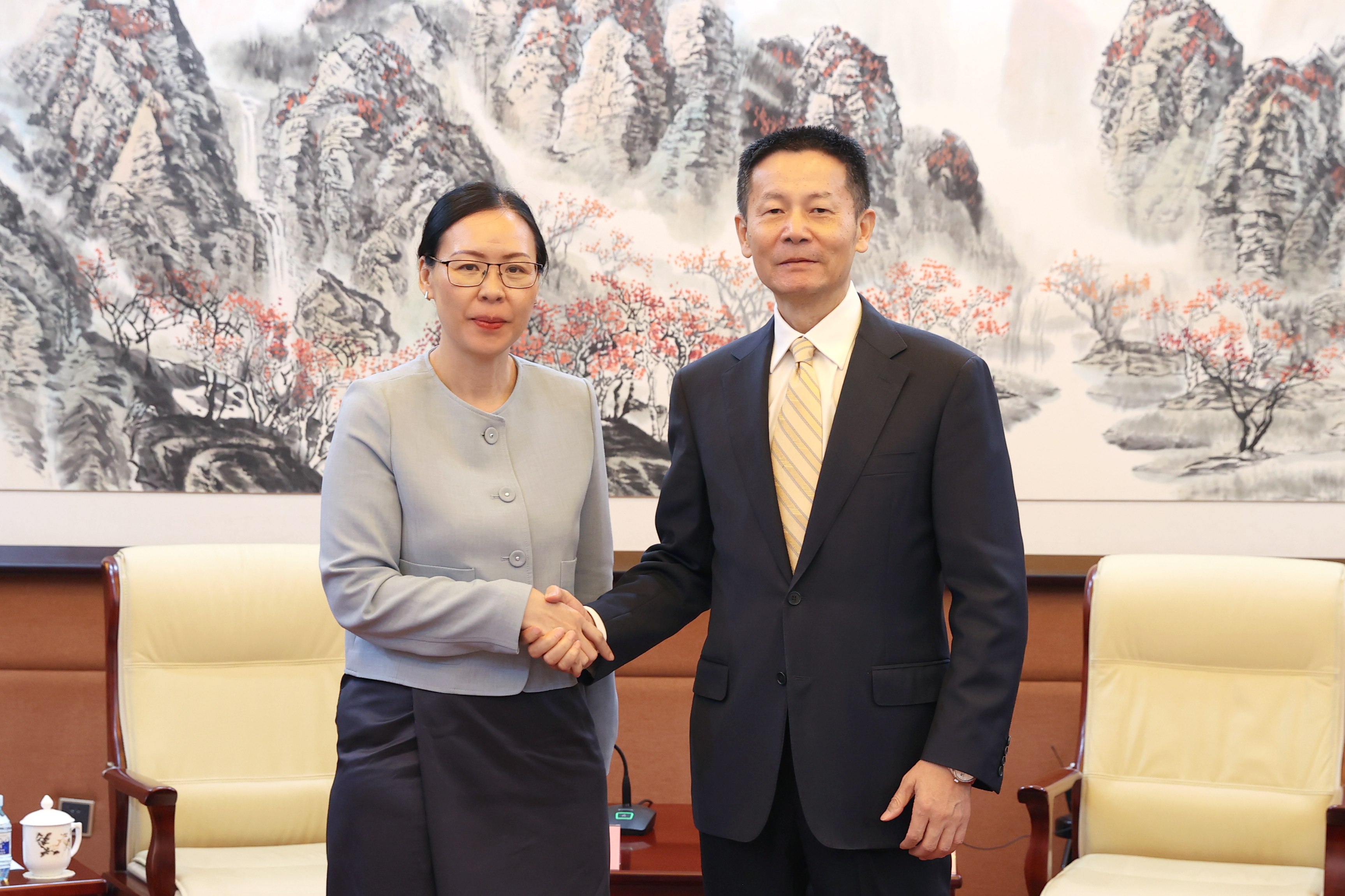 吴清主席会见老挝证监会秘书长萍西·萍...